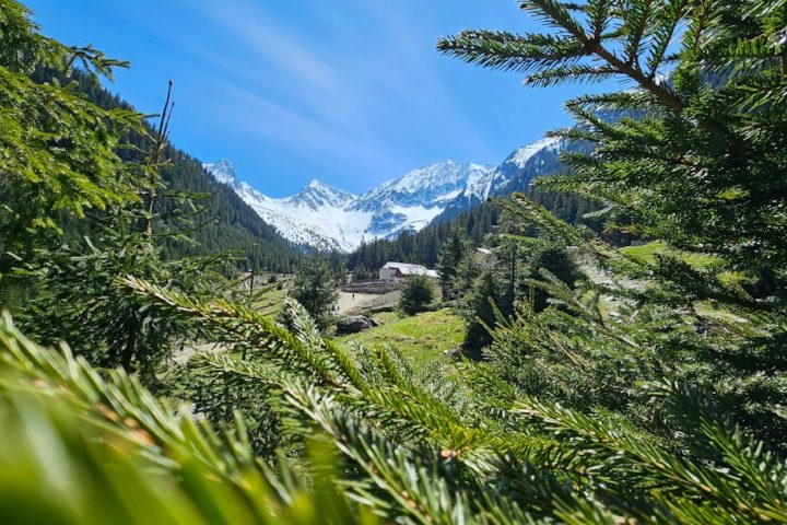 Vale montană într-un peisaj de primăvară