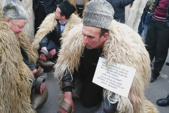 Oierii protestează în fața Guvernului: „Ne-a ajuns cuțitul la os”. Fermierii spun că sunt pregătiți să rămână în Capitală cât va fi nevoie