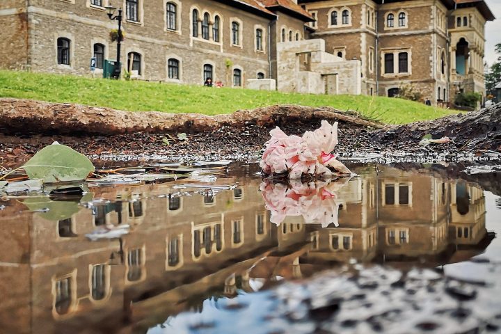 Palatul Cantacuzino Busteni - reflexie